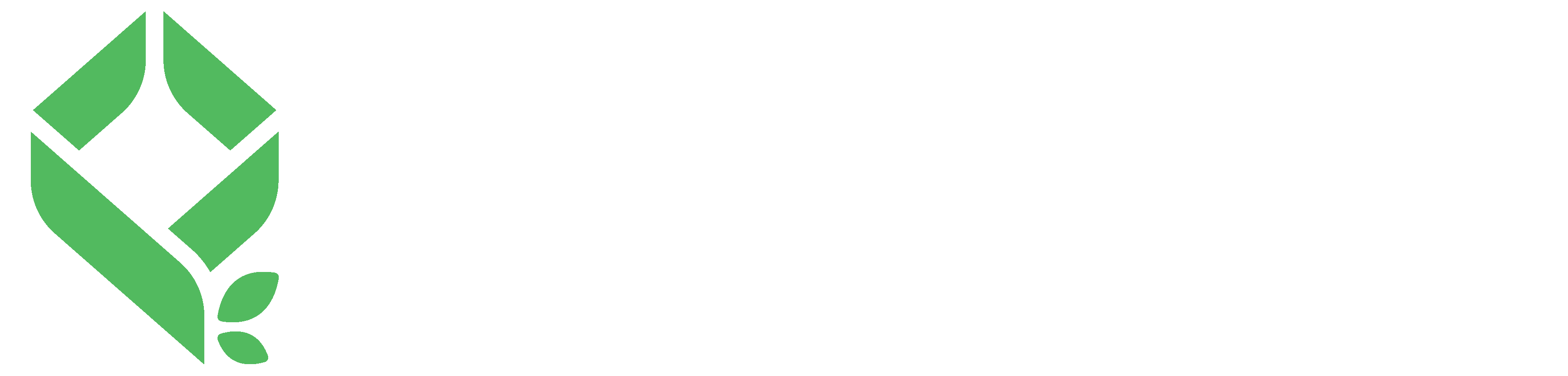 Promodul Logo-07